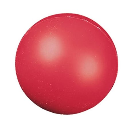 Champion Sports Champion Sports CHSHD4 High Density Coated Foam Ball 4In CHSHD4